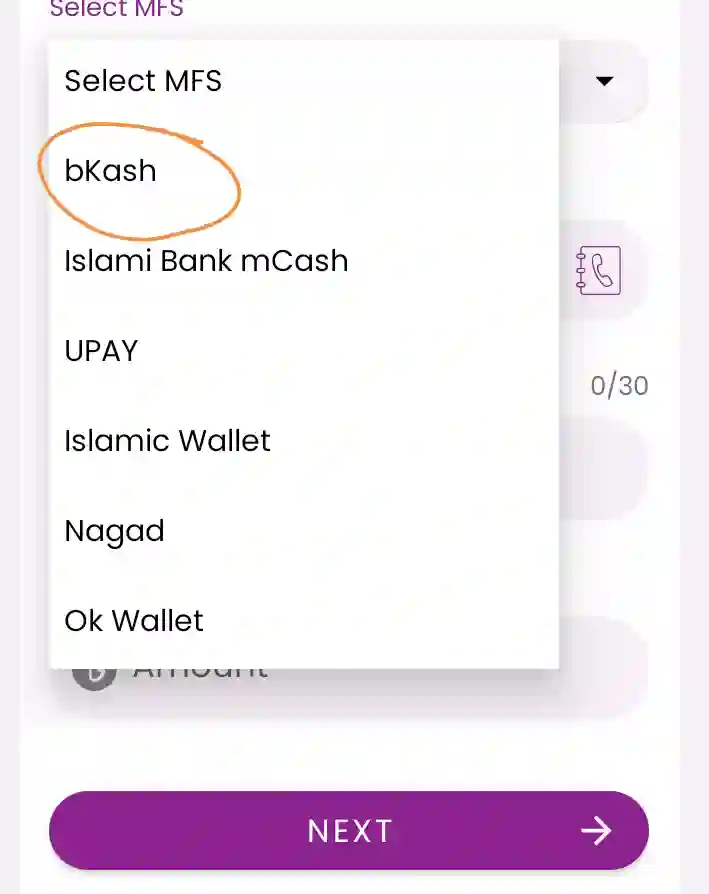 Rocket থেকে বিকাশ, নগদ, উপায়ে টাকা পাঠাবো কি ভাবে