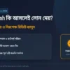 FinCash কি আসলেই লোন দেয়? সঠিক তথ্য জানুন