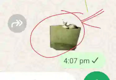 Whatsapp imogi 